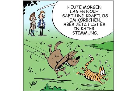 NEUEZEITEN