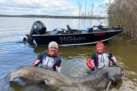 Polnische Angler ziehen Rekord-Wels aus einem Stausee.
