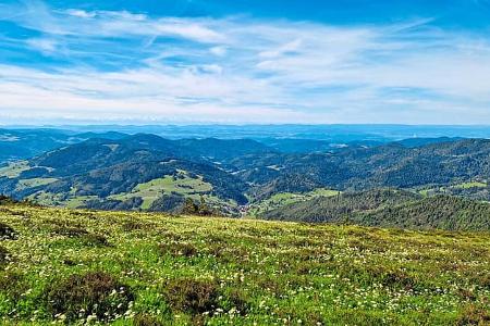 Ausblick, Markgräfler Land, Camping, Reise, Urlaub Ausblick, Markgräfler Land, Camping, Reise, Urlaub