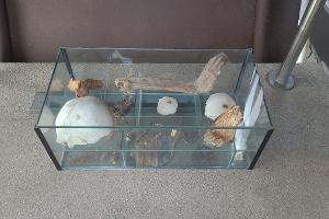 Quelle: PP Rheinpfalz