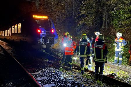Bei dem Zusammenstoß mit einem Baum wurde kein Passagier des Zuges verletzt. 