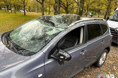 Das Dach des Nissan Qashqai wurde durch den umstürzenden Baum eingedrückt, und der Fahrer durch Splitter der Frontscheibe verletzt.
