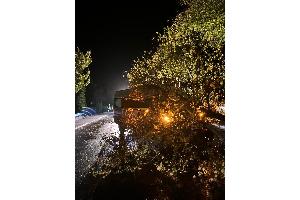 Der Baum, welcher auf der Verkehrsinsel stand und aus dem Boden gerissen wurde.

Foto: Ortsfeuerwehr Wehdel