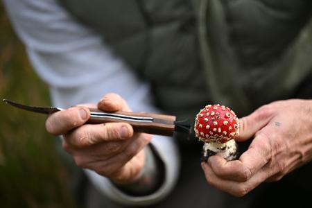 Schmid putzt die Pilze bereits im Wald.