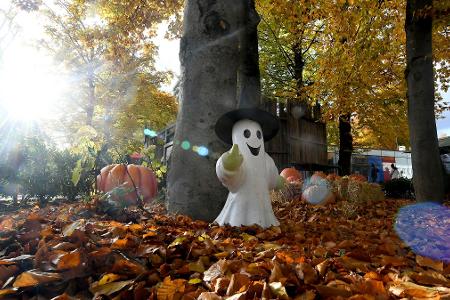 Halloween-Atmosphäre in München: Bavaria Filmstadt verwandelt sich zur Spooky Tour