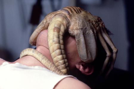 Facehugger in  Facehugger in