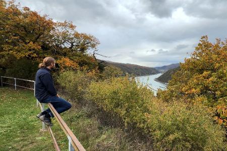  Laut dem Lagebild zur häuslichen Gewalt des Bundeskriminalamts (BKA) waren vergangenes Jahr rund 70 Prozent der Betroffenen weiblich und gut 30 Prozent männlich.