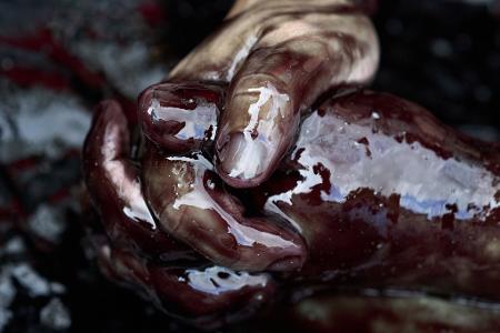 Umweltproteste in Den Haag: Die Hände eines Demonstranten sind mit Öl verschmiert, als er bei einer Demonstration der Extinction Rebellion eine Autobahn blockiert.