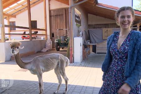 Das perfekte Dinner - Tag 2