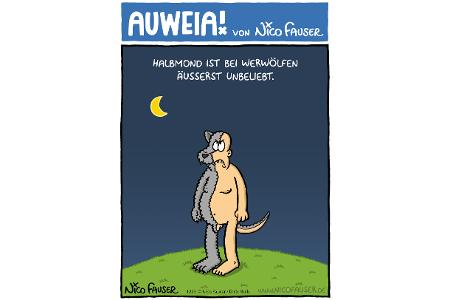 Alltäglicher Humor und Vögel AUWEIA