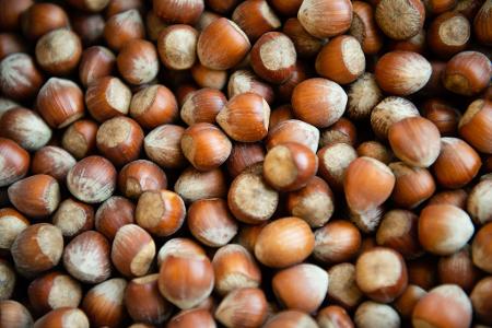 Die Haselsnussernte ist in Italien so schlecht ausgefallen wie seit Jahrzehnten nicht mehr. (Archivbild) Die Haselsnussernte ist in Italien so schlecht ausgefallen wie seit Jahrzehnten nicht mehr. (Archivbild)