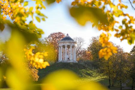 Der Englische Garten im Morgenlicht.