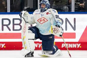 DEL: Hudacek verlässt Aufsteiger Dresden