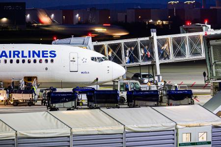 Ankunft in der niedersächsischen Landeshauptstadt: In Hannover ist ein Flieger aus Istanbul gelandet. Ankunft in der niedersächsischen Landeshauptstadt: In Hannover ist ein Flieger aus Istanbul gelandet.