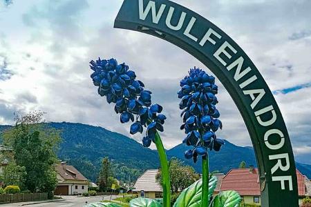 f_Camping-Tipps_Österreich_Tröpolach