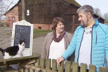 Sechser im Schweinelotto