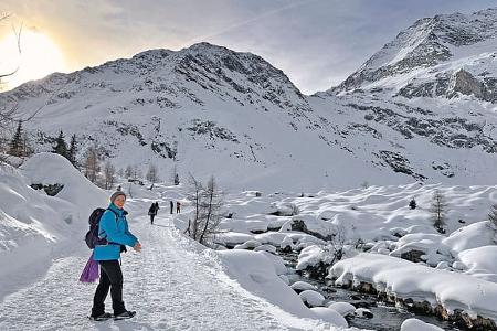 Lazinser Alm, Südtirol