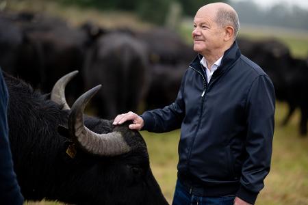 Hat als einfacher Abgeordneter nun mehr Zeit: Der frühere Bundeskanzler Olaf Scholz (SPD). (Archivbild)