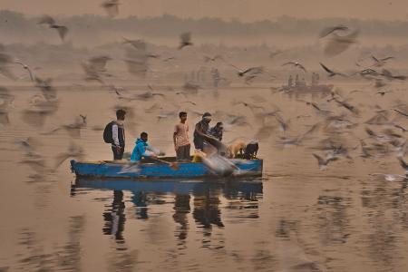 Yamuna-Ufer bei Delhi: Menschen locken Zugvögel mit Futter ans Boot.