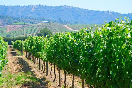 Strand oder Stadt? Traumhafte Reiseziele im November