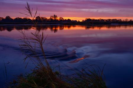 Der herbstliche Sonnenaufgang spiegelt sich auf der Oder in Brandenburg.