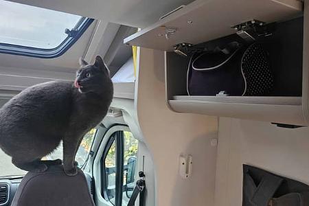 Wohnmobil, Carado T447, Schrank, Stauraum