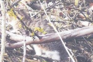 Bildrechte: Landespolizeiinspektion Nordhausen