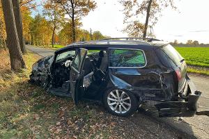 Für den Fahrer kam jede Hilfe zu spät.