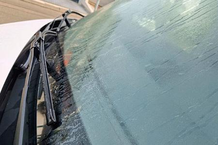 Scheibenwischer-Schutz