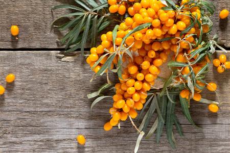 Geschmacksache: Sanddorn