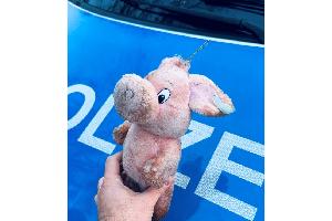 Foto des aufgefundenen Stofftiers