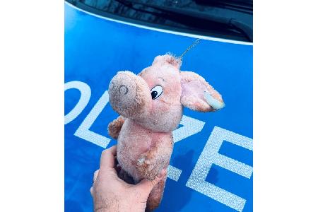 Foto des aufgefundenen Stofftiers