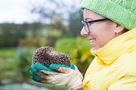 Pflegebedarf checken