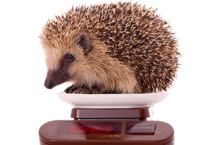 Gewicht überprüfen