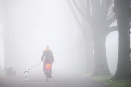 Der Montag startet oftmals bewölkt oder neblig trüb - aber vielerorts ist in den nächsten Tagen Besserung in Sicht.