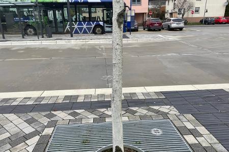 Beschädigungen am Baum wurden bereits durch einen Gärtner repariert.