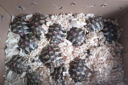 Foto - Freigabe unter der Quelle 