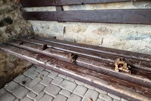 BIld Wartebank mit Kot