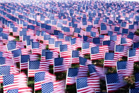 Auf der National Mall in Washington wehen Flaggen im Wind.