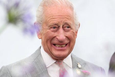 König Charles feiert 77. Geburtstag - Palast dankt mit Gehstock-Foto