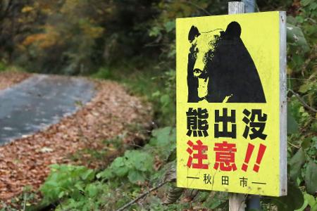 Laut Behördenangaben wurden seit April landesweit 13 Menschen von Bären getötet. (Archivbild)