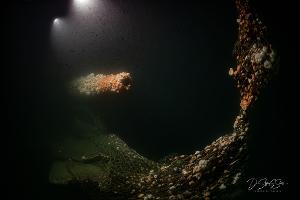 Die Tauchgänge fanden nach Angaben des Teams in großer Tiefe und unter herausfordernden Bedingungen statt.