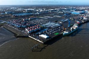 Im Hafen von Cuxhaven wurde ein toter Zwergwal entdeckt. (Symbolfoto)
