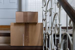 Die Katze hatte sich nach bisherigen Erkenntnissen unbemerkt in den Karton gelegt. (Symbolbild)