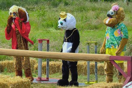 Sommerhaus der Stars