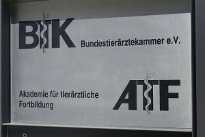 "Blutregel": Bundestierärztekammer fordert striktes Vorgehen