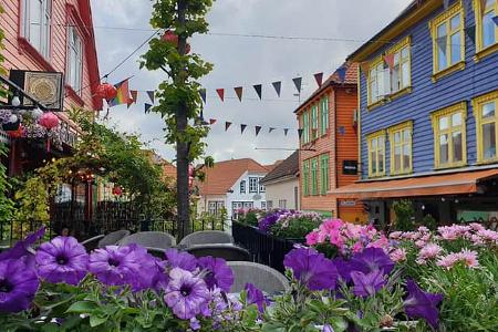 Blumen, Norwegen, Camping, Frankia Neo, Wohnmobil