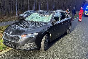 Bild des Unfallfahrzeugs