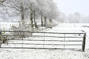 Weiteren Schnee sagt der Deutsche Wetterdienst frühestens am Sonntag vorher.