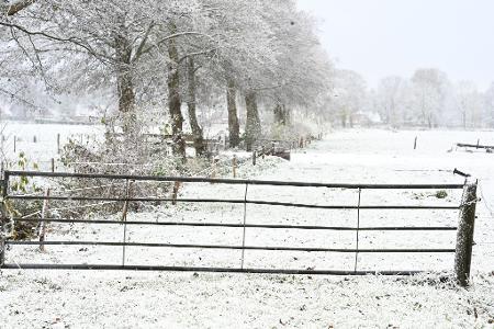 Weiteren Schnee sagt der Deutsche Wetterdienst frühestens am Sonntag vorher.